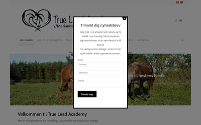 trueleadacademy.dk snapshot