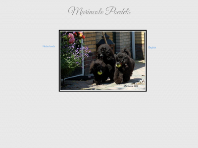 marincolepoedels.com snapshot
