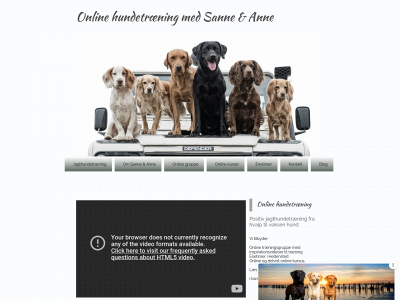 online-hundetraening-med-sanne-og-anne.dk snapshot