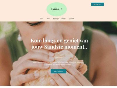sandvic.nl snapshot