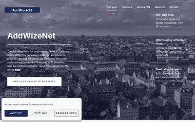theadvice.net snapshot