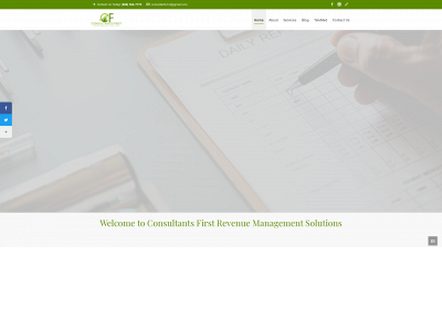 consultants1st.net snapshot