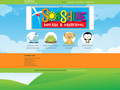 mysonshinedaycare.com snapshot