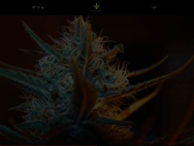 halohighs.com snapshot
