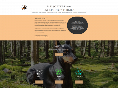 toyterrier.se snapshot