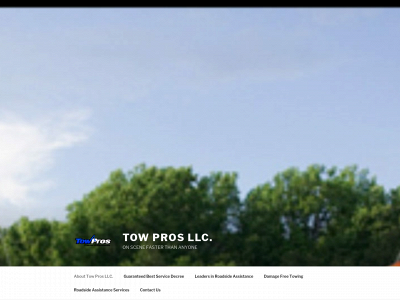 towprosllc.com snapshot
