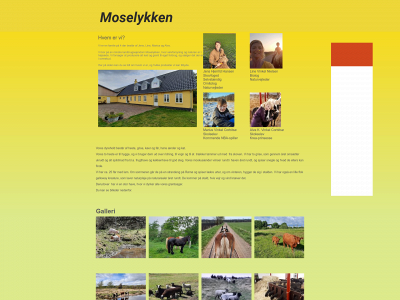 moselykken.dk snapshot