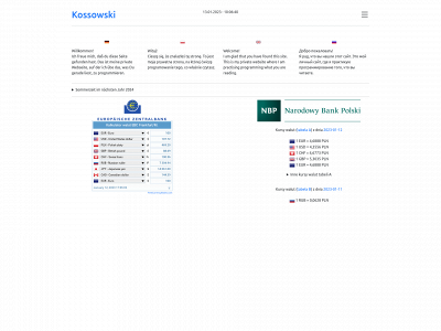 kossowski.biz snapshot