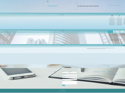 treasionary.com snapshot