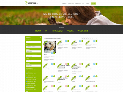 adopteer.be snapshot