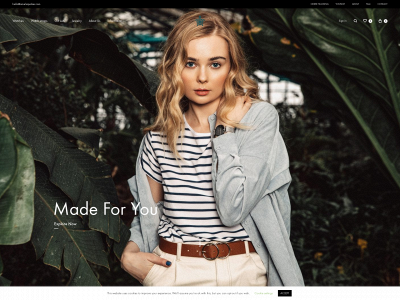 ameliaparker.com snapshot