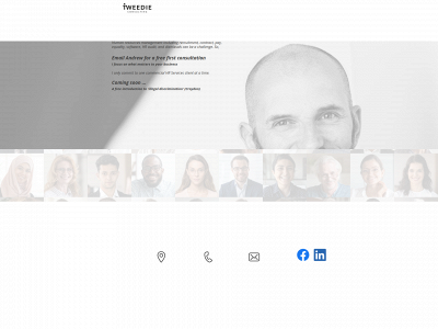 tweedie-consulting.com snapshot