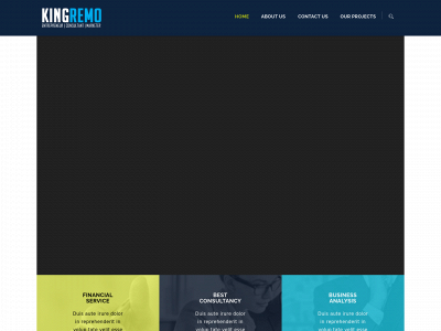 kingremo.com snapshot