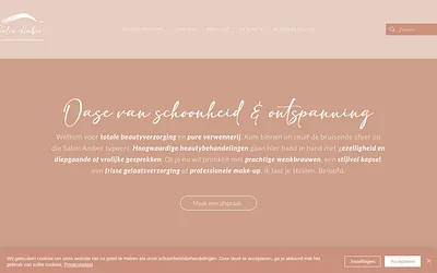 salonamber.be snapshot