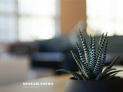 shakablenews.com snapshot