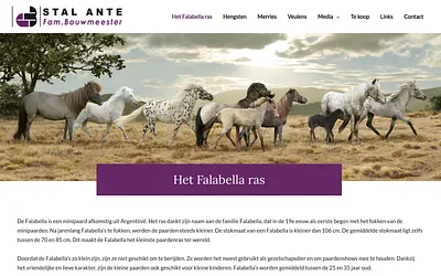 falabellanederland.nl snapshot