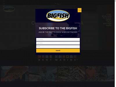 thebigfish.net snapshot