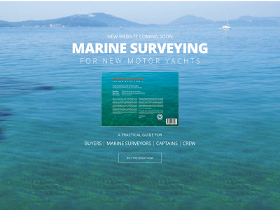 marinesurveyingnewmotoryachts.com snapshot