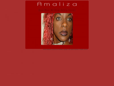 amaliza.com snapshot