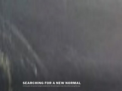 searchingforanewnormal.com snapshot