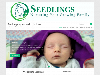seedlingsparenting.com snapshot