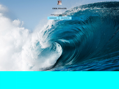 munkmannen.online snapshot