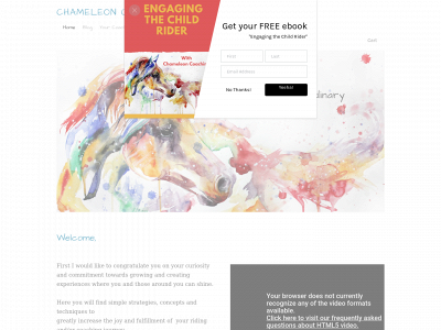 www.chameleoncoaching.com.au snapshot