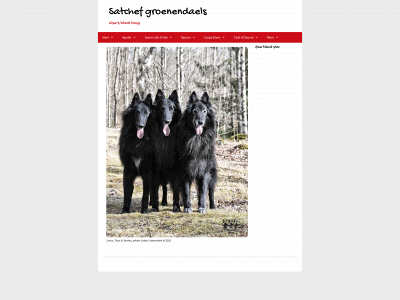 blackdogs.fi snapshot