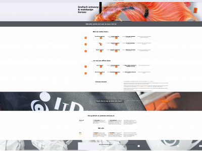 itdentity.nl snapshot