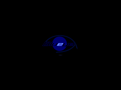 blueye.ch snapshot