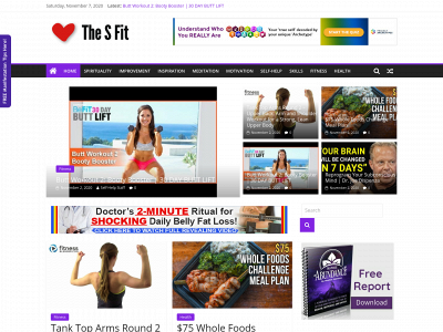 thesfit.net snapshot