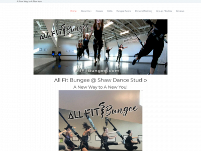 allfitbungee.com snapshot