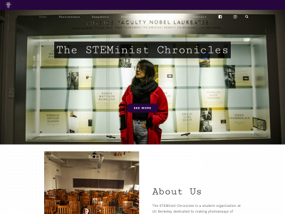 steministchronicles.com snapshot