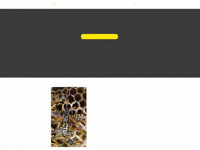 wespenierjonas.be snapshot