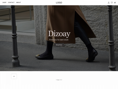 dizoay.com snapshot