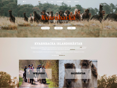 kvarnbacka.se snapshot