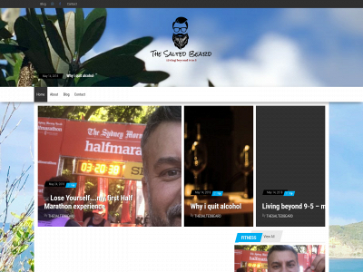 thesaltedbeard.com snapshot