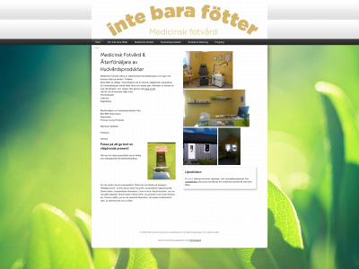 intebarafotter.se snapshot