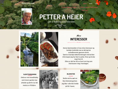 petterheier.no snapshot