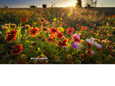 growlikewildflowers.com snapshot