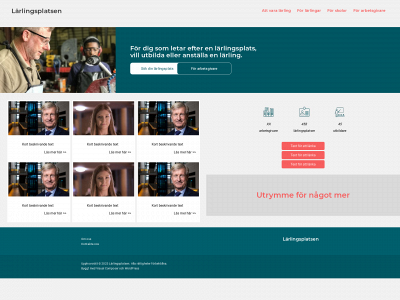 lptillfallig.site snapshot