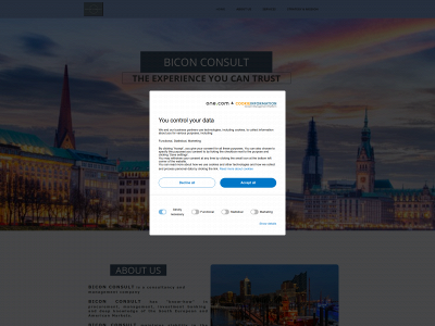 biconconsult.com snapshot