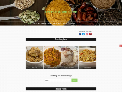 littlemorespice.com snapshot