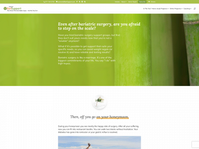 bariatricsurgerysupport.com snapshot