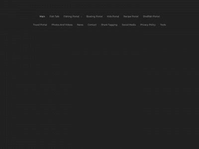 hooksnsinkers.com snapshot