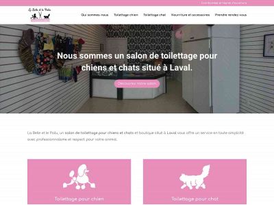 belleetpoilu.com snapshot