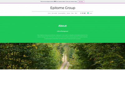 epitomegroup.co.uk snapshot