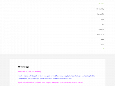 tinarewimcroy.com snapshot