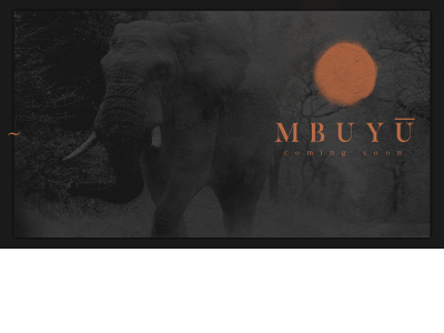 mbuyufinancials.com snapshot