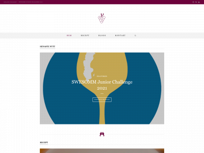 vivinskis.vin snapshot
